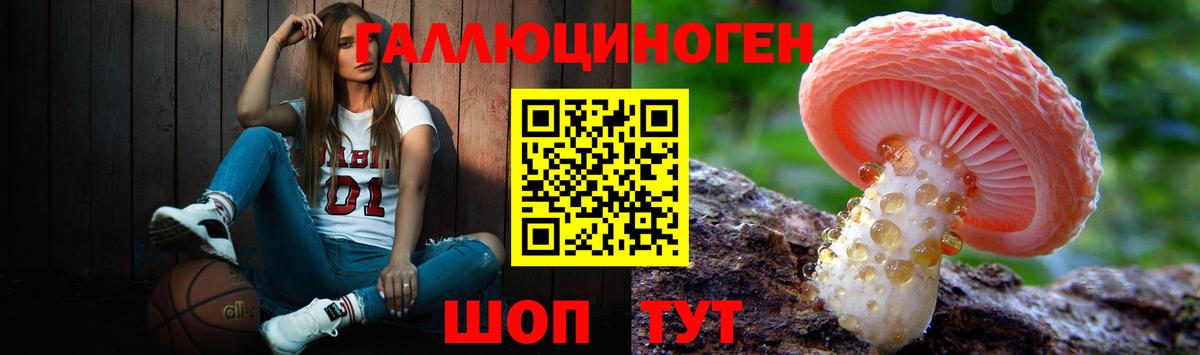 как найти закладки  Вход с VPN  Находка  Галлюциногенные грибы мухоморы 